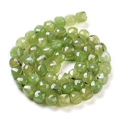 Natural Prehnite Beads Strands&nbsp;G-H028-A05-01