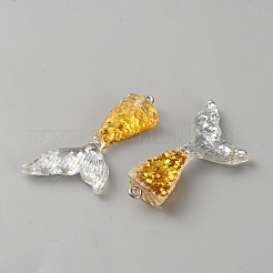 Transparent Resin Pendants&nbsp;RESI-TAC0018-49E