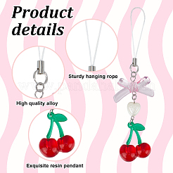 Resin & Acrylic Mobile Straps&nbsp;HJEW-BC00031