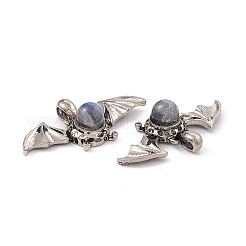 Natural Labradorite Pendants&nbsp;KK-A173-10AS