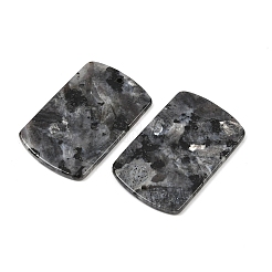 天然ラルビカイトペンダント  長方形チャーム  40x25x3.5mm  穴：1.6mm&nbsp;G-K354-14H