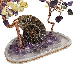 Natural Mixed Gemstone Chip Pachira Glabra Display Decorations&nbsp;DJEW-K025-05B