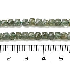 Natural Green Apatit Beads Strands&nbsp;G-H042-A12-02C