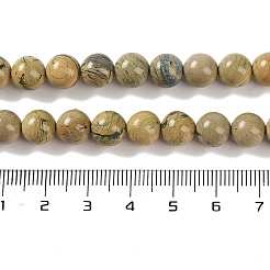 Natural Verdite Stone Beads Strands&nbsp;G-P530-B07-03