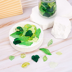270Pcs 9 Style Transparent Acrylic Pendants&nbsp;TACR-CD0001-02
