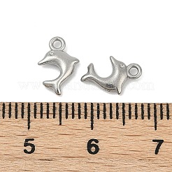 304 Stainless Steel Charms&nbsp;STAS-E500-13P-01