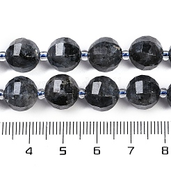 天然ラルビライトビーズ連売り  多面カット  ランタン  シードビーズで  10x9mm  穴：1.2mm  約33~34個/連  15.51~16.10インチ（39.4~40.9cm）&nbsp;G-G182-B03-05