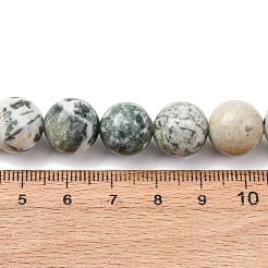 Natural Tree Agate Beads Strands&nbsp;G-T150-A09-12mm