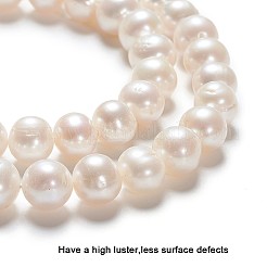 Natural Cultured Freshwater Pearl Beads Strands&nbsp;PEAR-R063-16