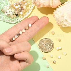 100個 5スタイル 天然ホワイトシェル＆トロキッドシェル＆淡水シェルビーズ  ラウンド  ミックスカラー  5~5.5mm  穴：0.5~1mm  20個/スタイル&nbsp;SSHEL-YW0001-17