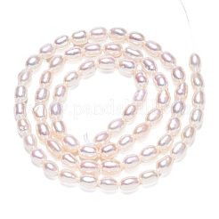 天然養殖淡水パールビーズ連売り  ライス  貝殻色  5~7x4mm  穴：0.7mm  約61~71個/連  13.98インチ（35.5cm）&nbsp;PEAR-N012-04G