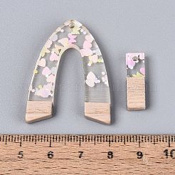 20Pcs 10 Styles Transparent Resin & Ash Wood Pendants&nbsp;RESI-N053-17