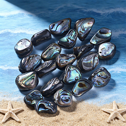 天然アワビ貝/パウア貝ビーズ1連  ナゲット  10~19x9~14x5~8mm  穴：1mm  約28~30個/連  15.7~15.9インチ（40~40.5cm）&nbsp;SSHEL-PA0001-03