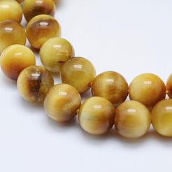 天然ゴールドタイガーアイビーズ連売り  ラウンド  8mm  穴：1mm  約47~48個/連  15.5インチ（39.5cm）&nbsp;G-K203-84-8mm