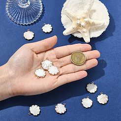10Pcs Electroplated Natural Freshwater Shell Pendants&nbsp;SHEL-CJ0001-39