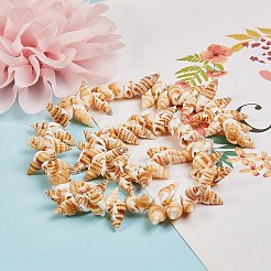 Natural Spiral Shell Beads Strands&nbsp;BSHE-SZ0001-03
