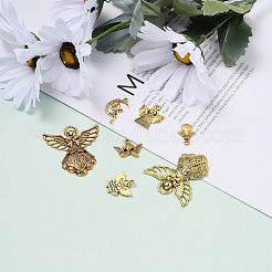 Tibetan Style Alloy Pendants&nbsp;TIBEP-MSMC020-AG