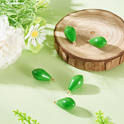 5Pcs Fruit Opaque Resin Pendants&nbsp;RESI-TADJ0001-02D