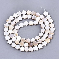 天然淡水シェルビーズ連売り  花  ビスク  6x6x2mm  穴：0.7mm  約68個/連  15.16インチ〜15.55インチ（38.5~39.5cm）&nbsp;SHEL-N027-02