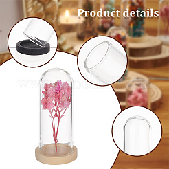 10Pcs Mini Glass Domes&nbsp;AJEW-PH0004-32A