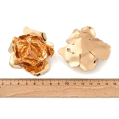 Iron Stud Earrrings for Women&nbsp;LS-EJEW-U063-02B-G