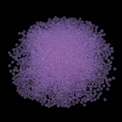Luminous Transparent Glass Seed Round Beads&nbsp;GLAA-F124-D07-B