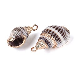 Electroplate Spiral Shell Pendants&nbsp;X-SSHEL-S261-10