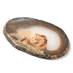 プリントされた天然瑪瑙スライス石飾り  幸運を呼ぶホームオフィスの装飾  ライオン  115~125x110~130x7~8mm&nbsp;DJEW-M011-04E