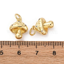 Brass Pave Cubic Zirconia Charms&nbsp;KK-Q098-24G