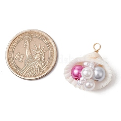 Natural Clam Shell Pendants&nbsp;PALLOY-JF03551