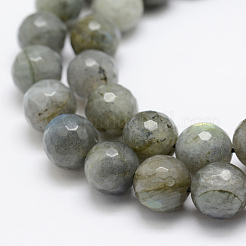 Natural Labradorite Beads Strands&nbsp;G-P322-28-10mm