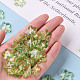 Transparent Acrylic Beads&nbsp;TACR-S154-32B-83-5