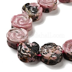 Natural Rhodonite Beads Strands&nbsp;G-D475-01L