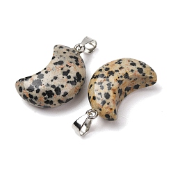 Natural Dalmatian Jasper Pendants&nbsp;G-F820-02L-16
