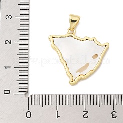 Rack Plating Brass Micro Pave Cubic Zirconia Pendants&nbsp;KK-K293-26G