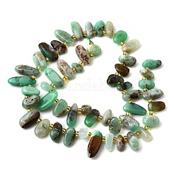 Natural Chrysoprase Beads Strands&nbsp;G-Z091-A04