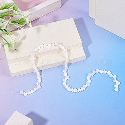 1 Strand Natural Trochid Shell/Trochus Shell Beads Strands&nbsp;BSHE-TA0001-39