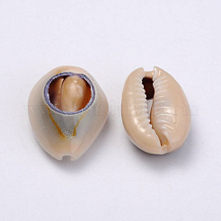 天然カウリーシェルビーズ  オーバル  ダークカーキ  20~23x14~20x9~13mm&nbsp;BSHE-Q295-4