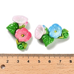 樹脂カボション  朝顔  ミックスカラー  33x23.5x8mm&nbsp;CRES-S369-04