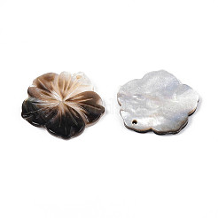 天然の黒リップシェル彫刻ペンダント  花のチャーム  27~29x27.5~30x2~4mm  穴：1.6mm&nbsp;SHEL-T020-21