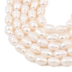 Natural Cultured Freshwater Pearl Beads Strands&nbsp;PEAR-F020-20A
