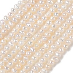 天然養殖淡水パールビーズ連売り  グレード3 A  ポテト  ベージュ  2~3mm  穴：0.1mm  約133~135個/連  14.96''（38センチメートル）&nbsp;PA-CBAC463-35
