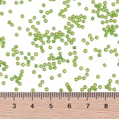 TOHO Round Seed Beads&nbsp;X-SEED-TR11-0306FM