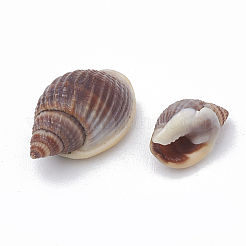 シーシェルビーズ  穴なし/ドリルなし  8~14x5~10x5~7mm  約770個/274g&nbsp;SSHEL-S258-02