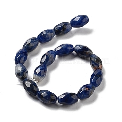 Natural Sodalite Beads Strands&nbsp;G-P520-C07-01