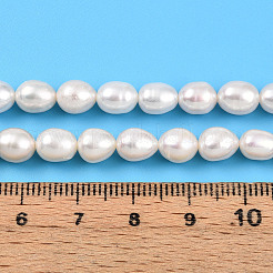 天然養殖淡水パールビーズ連売り  ライス  乳白色  7~7.5x6~6.5mm  穴：0.5mm  約49~50個/連  14.17~14.37''（36~36.5センチメートル）&nbsp;PEAR-N012-06Z