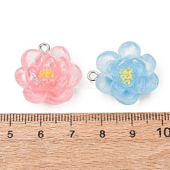 Transparent Resin Pendants&nbsp;RE-CBA5F64-02
