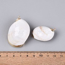 Electroplate Natural Sea Shell Pendants&nbsp;SSHEL-Q100-04KCG