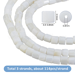 3 連売り天然淡水貝ビーズ 連売り  コラム  貝殻色  3.5~3.8x3.5mm  穴：0.8mm  約114個/連  15~15.5''（39~39.5センチメートル）&nbsp;SHEL-HS0001-16