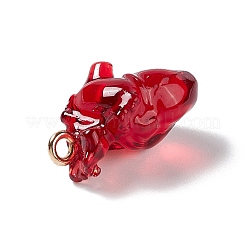 Transparent Resin Pendants&nbsp;RESI-E028-01G-01